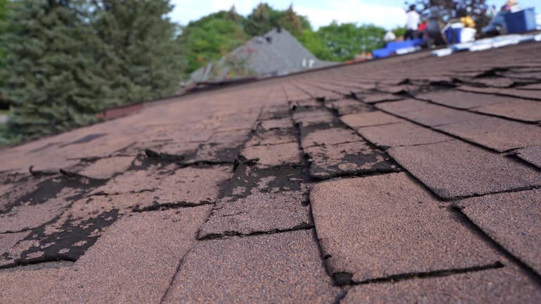 Best Roof Leak Repair  in North Merrick, NY