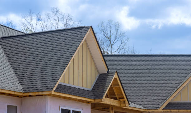 Best Roof Insulation Installation  in North Merrick, NY