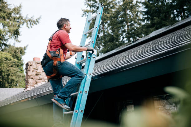 Best Green or Eco-Friendly Roofing Solutions  in North Merrick, NY